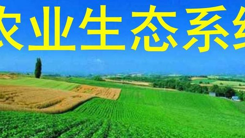 定制报价单，农资集采的精准指南**