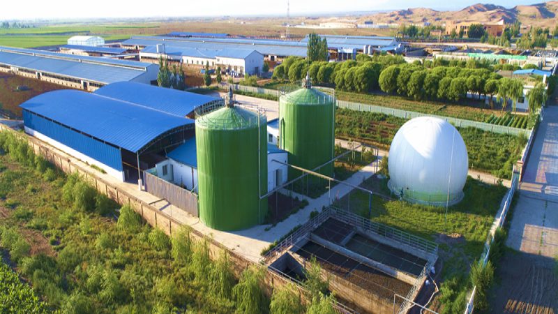 农产品批发市场商户入驻指南：流程解析与注意事项**