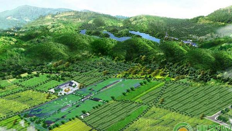 河南粮食种植资质办理全攻略：合规种植，品质保障