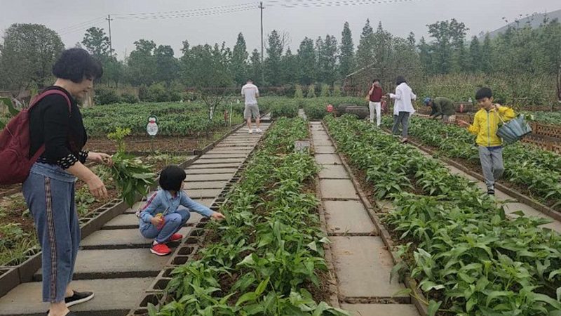 家庭农场注册必备清单：轻松了解所需材料