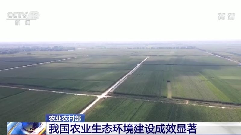农业种植加盟：政策扶持下的新机遇**