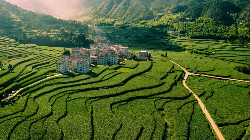 农民专业合作社登记流程：关键步骤与注意事项**