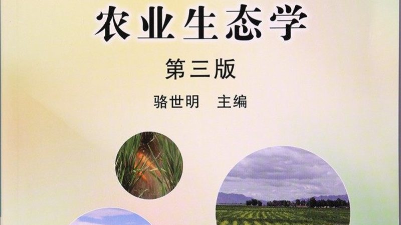 休闲农业品牌策划书哪家好