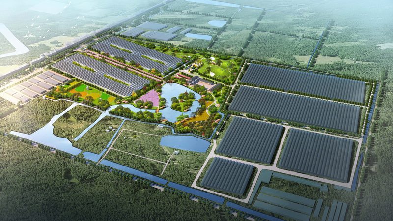 农业灌溉系统：如何科学安装与合理报价**
