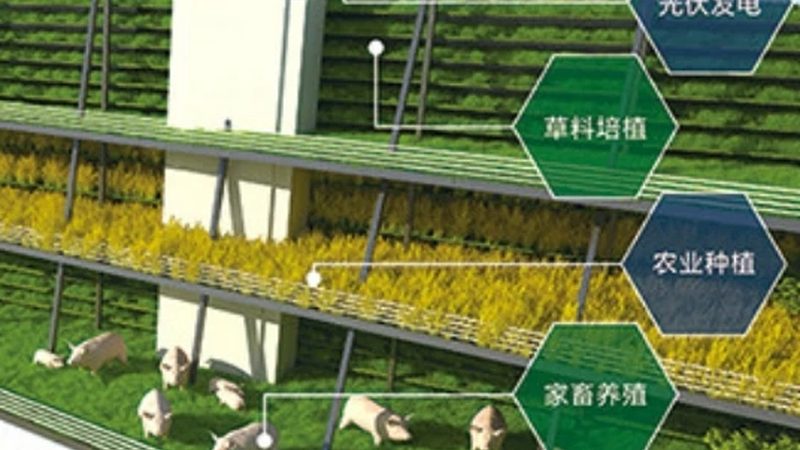 蔬菜大棚种植注意事项详解