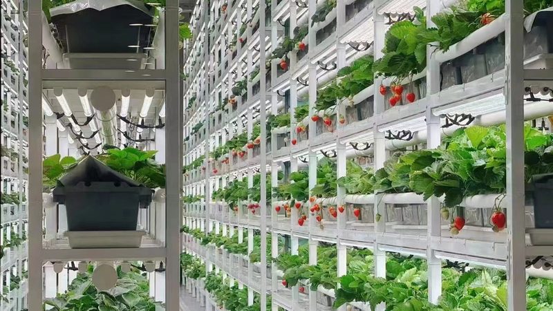 智能农业设备：价格背后的价值考量
