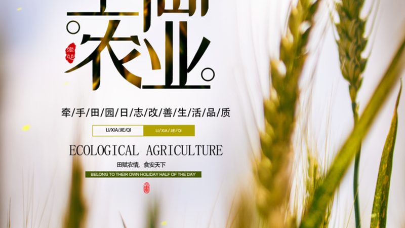 无土栽培与土培：两种种植方式的对比解析